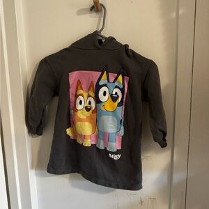 Zara Kids Gray Hoodie with Bluey Print